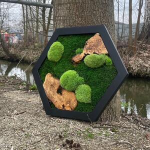 Mechový obrázek hexagon