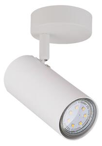 Nástěnné bodové svítidlo COLLY - 1xGU10, 15W, bílé