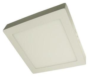 LED Stropní svítidlo GERRY LED/24W/230V 4000K
