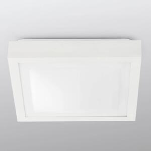 Koupelnové stropní světlo Tola, 32 x 32 cm, bílá