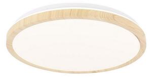 Candellux LED Stropní svítidlo GANDAVA LED/18W/230V CA0455