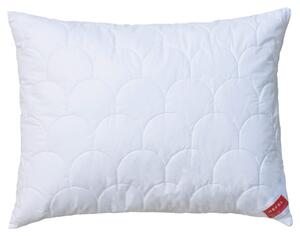 POLŠTÁŘ, 50/70 cm Hefel Textil - Polštáře pod hlavu