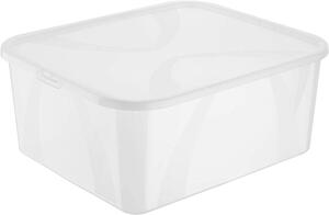 Úložný univerzální box, transparentní krabice s víkem, Rotho LONA, 19l