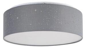 Rabalux - LED Stropní svítidlo LED/22W/230V šedá RL3307