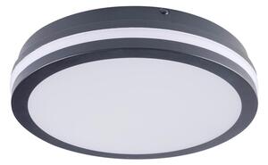 Brilagi - LED Venkovní svítidlo BENE LED/24W/230V pr. 26 cm IP54