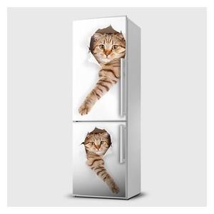 E-shop24, Pi5SL839, Rozměr 65x120 cm, Fototapeta samolepící na lednice - Kočky