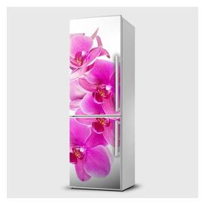 E-shop24, Pi5SL955, Rozměr 65x120 cm, Fototapeta samolepící na lednice - Orchidej růžová