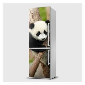 E-shop24, Pi5SL835, Rozměr 65x120 cm, Fototapeta samolepící na lednice - Panda