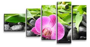Sablio Obraz - 5-dílný Růžová orchidej - 100x60 cm