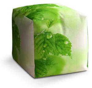 Sablio Taburet Cube Listy 2 - 40x40x40 cm