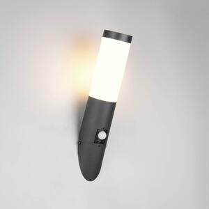 Trio Lighting Venkovní nástěnné svítidlo Trioto, matná černá, 39 cm nerezová ocel, senzor, Černá, Nerezová ocel, Moderní