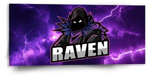 Sablio Obraz FORTNITE RAVEN Fialová bouře - 110x50 cm