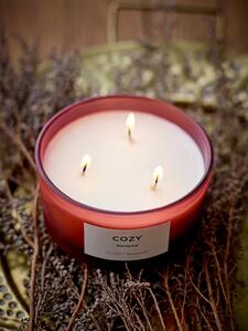 Vonná svíčka se třemi knoty Cozy (nektarinka & tmavá švestka)