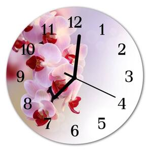 Nástěnné hodiny obrazové na skle - Orchidej světle růžová