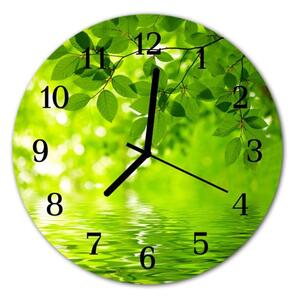 Nástěnné hodiny obrazové na skle - Zelené listy