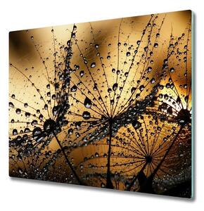 Skleněná deska - D3821285 - Pampeliška 60 x 52 cm