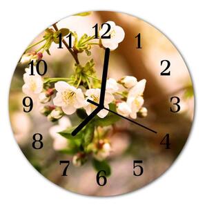 Nástěnné hodiny obrazové na skle - Květy Jabloně
