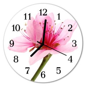 E-shop24, průměr 30 cm, Hnn51770303 Nástěnné hodiny obrazové na skle - Květ růžový