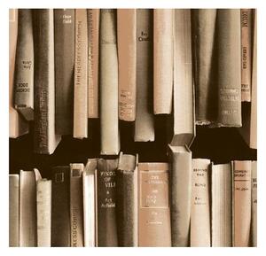 Samolepící fólie Gekkofix Knihy hnědé šíře 45 cm