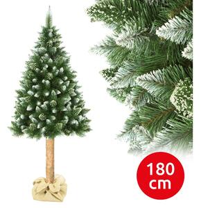 Elma Vánoční stromek na kmenu 180 cm borovice EA0009