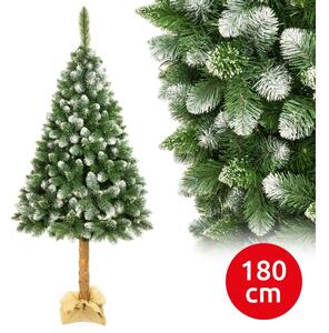 Elma Vánoční stromek na kmenu 180 cm borovice EA0006