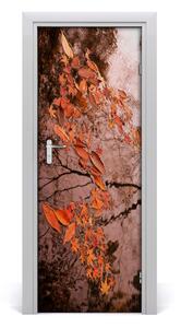 Fototapeta samolepící podzimní listí 75x205 cm