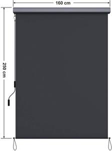 SONGMICS Svislá markýza zatahovací 160 x 250 cm tmavě šedá