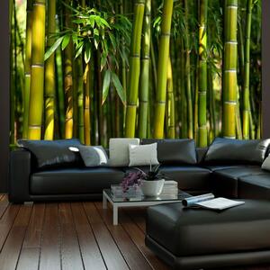 Fototapeta - Asijský bambusový les + zdarma lepidlo - 200x154