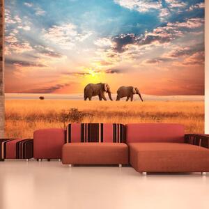 Fototapeta - Afričtí sloni v savaně + zdarma lepidlo - 200x154
