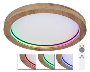 Globo 41374-24R - LED RGBW Stmívatelné stropní svítidlo BRANZA LED/24W/230V + DO GL7177