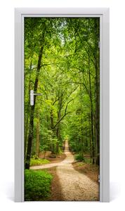 Fototapeta na dveře samolepící stezka v lese 75x205 cm