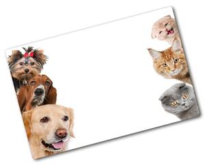 Kuchyňská deska skleněná Psy a kočky pl-ko-80x52-f-104206550
