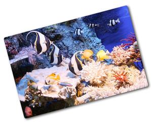 Kuchyňská deska skleněná Korálový útes pl-ko-80x52-f-105919456