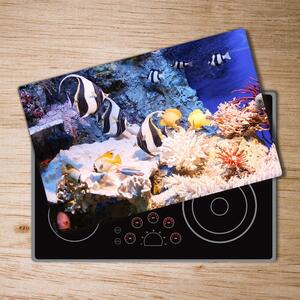 Kuchyňská deska skleněná Korálový útes pl-ko-80x52-f-105919456