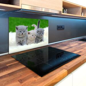 Kuchyňská deska skleněná Tři kočky na dece pl-ko-80x52-f-112670236