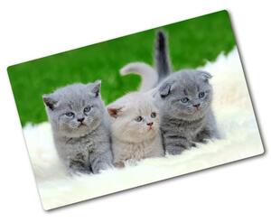 Kuchyňská deska skleněná Tři kočky na dece pl-ko-80x52-f-112670236
