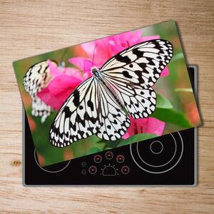 Kuchyňská deska skleněná Motýl na květině pl-ko-80x52-f-111962748