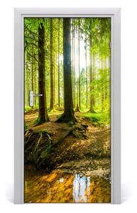 Fototapeta na dveře samolepící slunce v lese 85x205 cm
