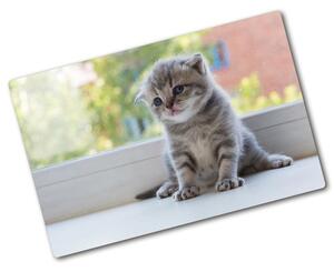 Kuchyňská deska skleněná Malá kočka u okna pl-ko-80x52-f-114401117