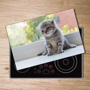 Kuchyňská deska skleněná Malá kočka u okna pl-ko-80x52-f-114401117