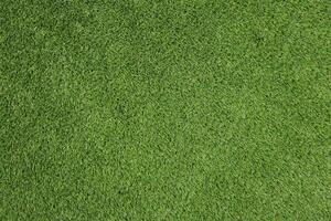 Artificial grass specialists AKCE: 80x490 cm Umělá tráva Rosemary NEW metrážní - Rozměr na míru cm