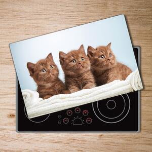 Kuchyňská deska skleněná Kočky na ručníku pl-ko-80x52-f-115160292
