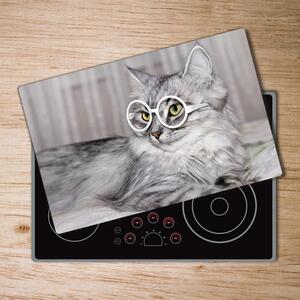 Kuchyňská deska skleněná Kočka v brýlích pl-ko-80x52-f-115959381