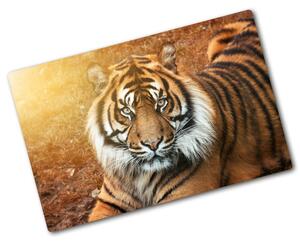 Kuchyňská deska skleněná Bengálský tygr pl-ko-80x52-f-116603957
