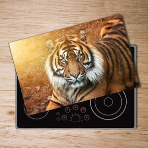 Kuchyňská deska skleněná Bengálský tygr pl-ko-80x52-f-116603957