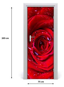 Samolepící fototapeta na dveře Červená růže 75x205 cm