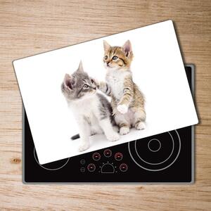 Kuchyňská deska skleněná Dvě malé kočky pl-ko-80x52-f-120060855