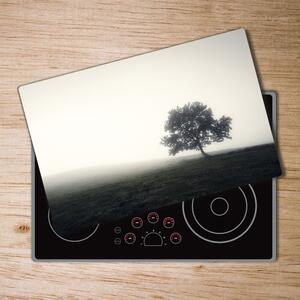 Kuchyňská deska skleněná Strom pl-ko-80x52-f-122846887