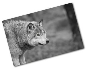 Kuchyňská deska skleněná Šedý vlk pl-ko-80x52-f-125421387