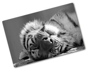 Kuchyňská deska skleněná Spící tygr pl-ko-80x52-f-125000206